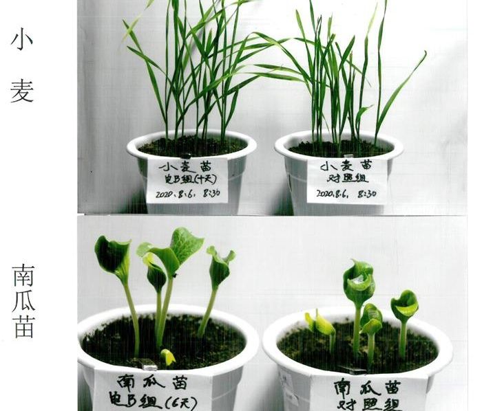 划时代意义的电、磁、声、波手艺工程 是推动农林业生长的自动力